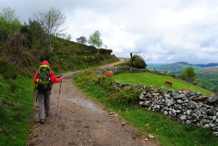 05_santiagodecompostela_pilgerin_matthiasdunemann